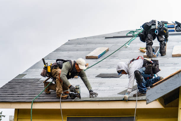 Professional Emergency Roof Repair technician working in Lakewood, NY